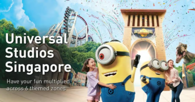 Universal Studios Singapore Entry Ticket